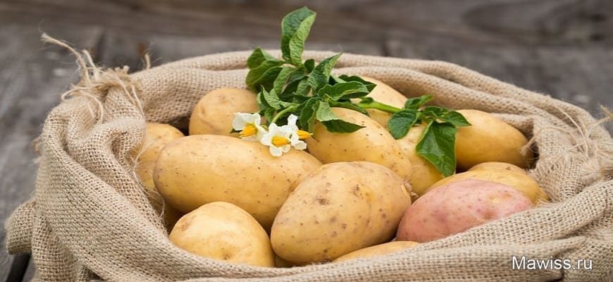 блюда из картофеля