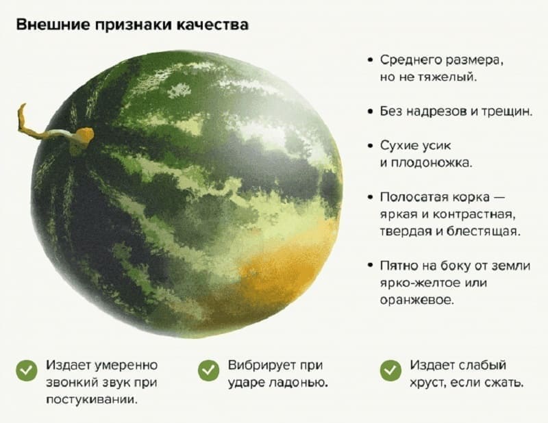 Как выбрать арбуз правильно Как выбрать арбуз правильно
