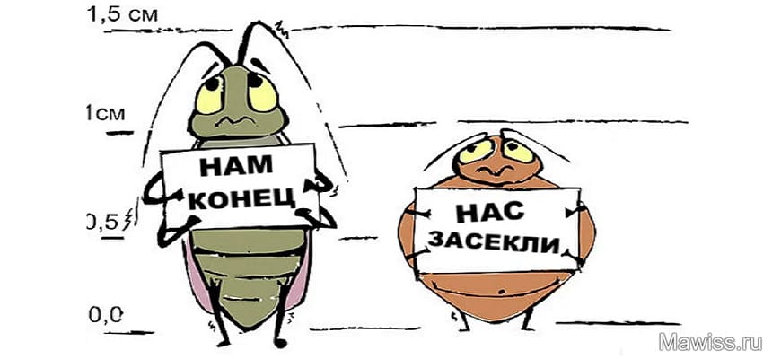 Способ как избавиться от тараканов раз и навсегда
